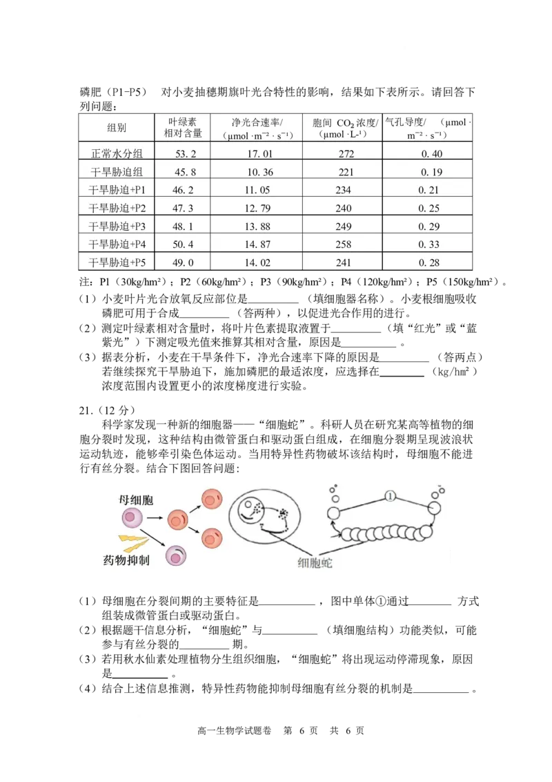 湖南常德市沅澧共同体2025-2026学高一上学期期末考试生物试卷_2026年02月高一试卷_260215湖南省常德市沅澧共同体2025-2026学高一上学期期末考试