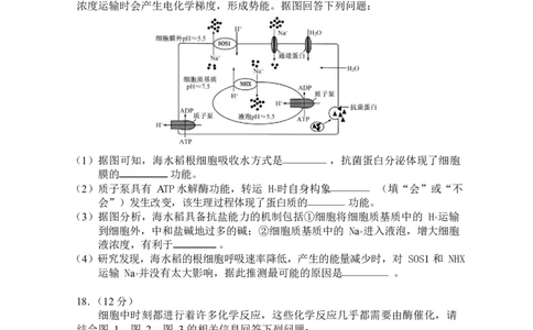 湖南常德市沅澧共同体2025-2026学高一上学期期末考试生物试卷_2026年02月高一试卷_260215湖南省常德市沅澧共同体2025-2026学高一上学期期末考试