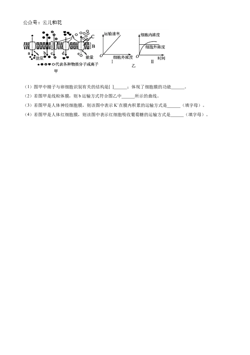 甘肃省天水市甘谷县2024-2025学年高一上学期11月月考生物试题Word版无答案_2024年12月试卷_1229甘肃省天水市甘谷县2024-2025学年高一上学期11月联考