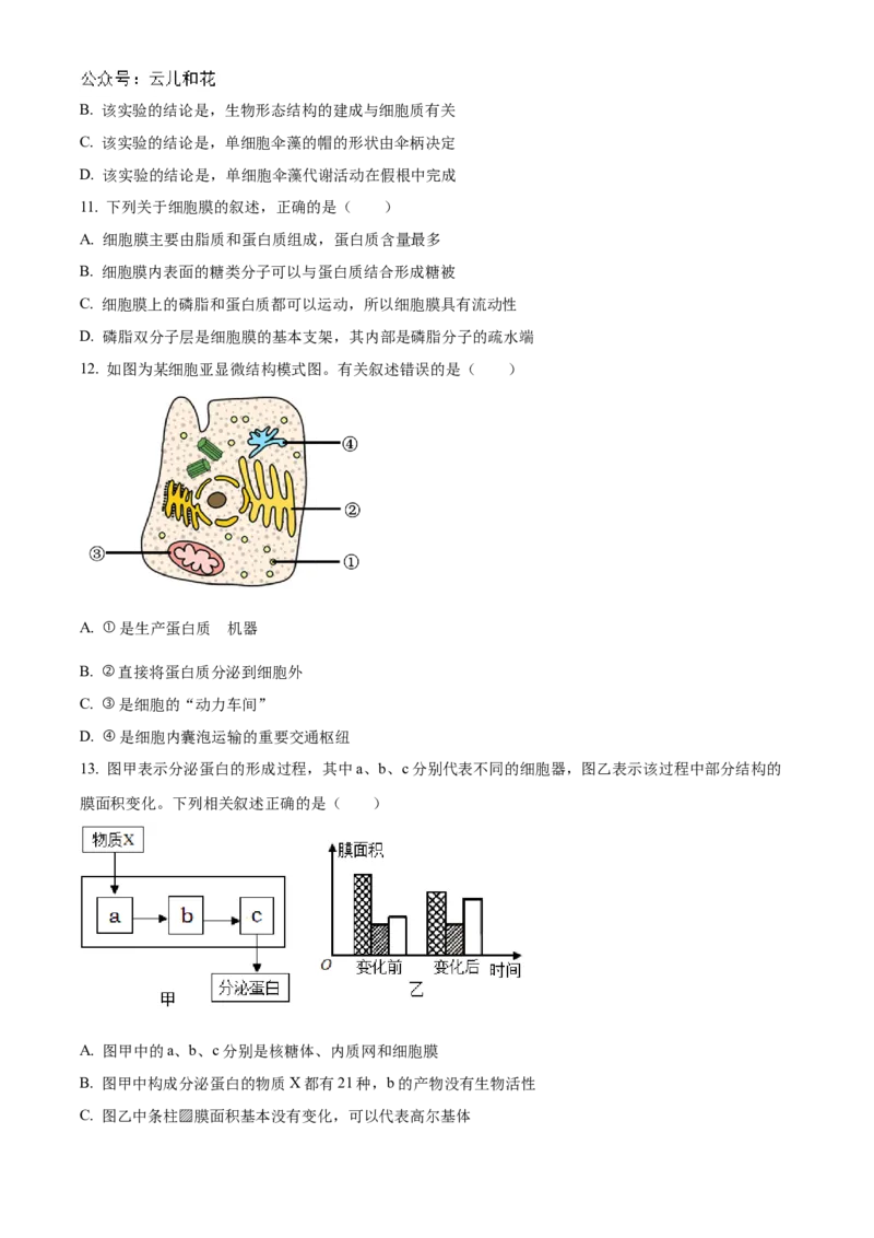 甘肃省天水市甘谷县2024-2025学年高一上学期11月月考生物试题Word版无答案_2024年12月试卷_1229甘肃省天水市甘谷县2024-2025学年高一上学期11月联考