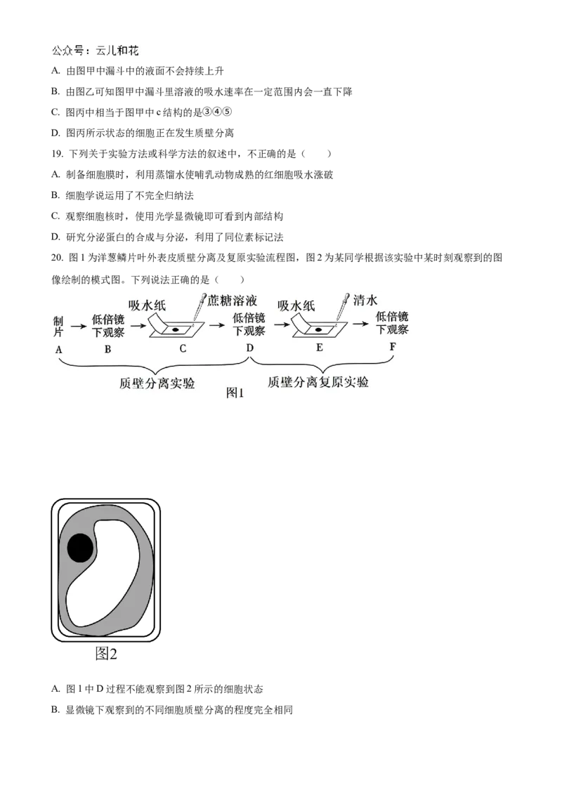 甘肃省天水市甘谷县2024-2025学年高一上学期11月月考生物试题Word版无答案_2024年12月试卷_1229甘肃省天水市甘谷县2024-2025学年高一上学期11月联考