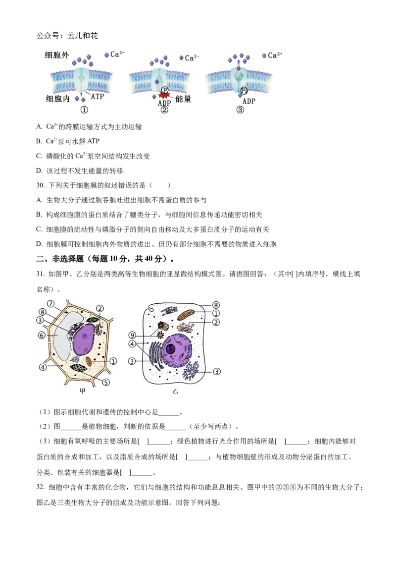 甘肃省天水市甘谷县2024-2025学年高一上学期11月月考生物试题Word版无答案_2024年12月试卷_1229甘肃省天水市甘谷县2024-2025学年高一上学期11月联考