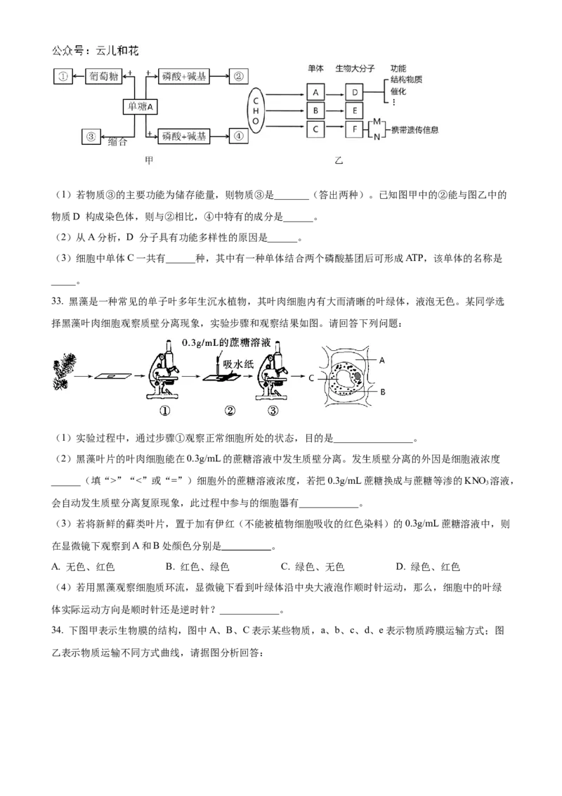 甘肃省天水市甘谷县2024-2025学年高一上学期11月月考生物试题Word版无答案_2024年12月试卷_1229甘肃省天水市甘谷县2024-2025学年高一上学期11月联考