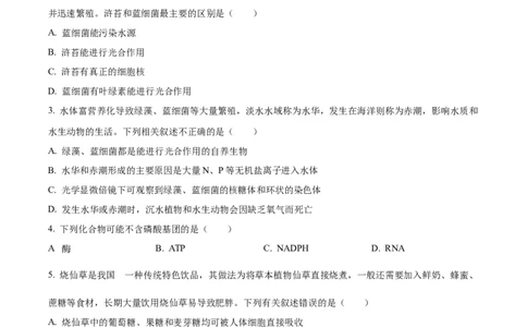 甘肃省天水市甘谷县2024-2025学年高一上学期11月月考生物试题Word版无答案_2024年12月试卷_1229甘肃省天水市甘谷县2024-2025学年高一上学期11月联考