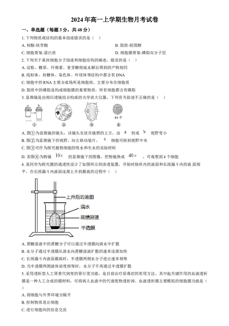 湖南省岳阳市岳阳县第一中学2024-2025学年高一上学期12月月考生物试题Word版无答案_2025年01月试卷_0104湖南省岳阳市岳阳县第一中学2024-2025学年高一上学期12月月考