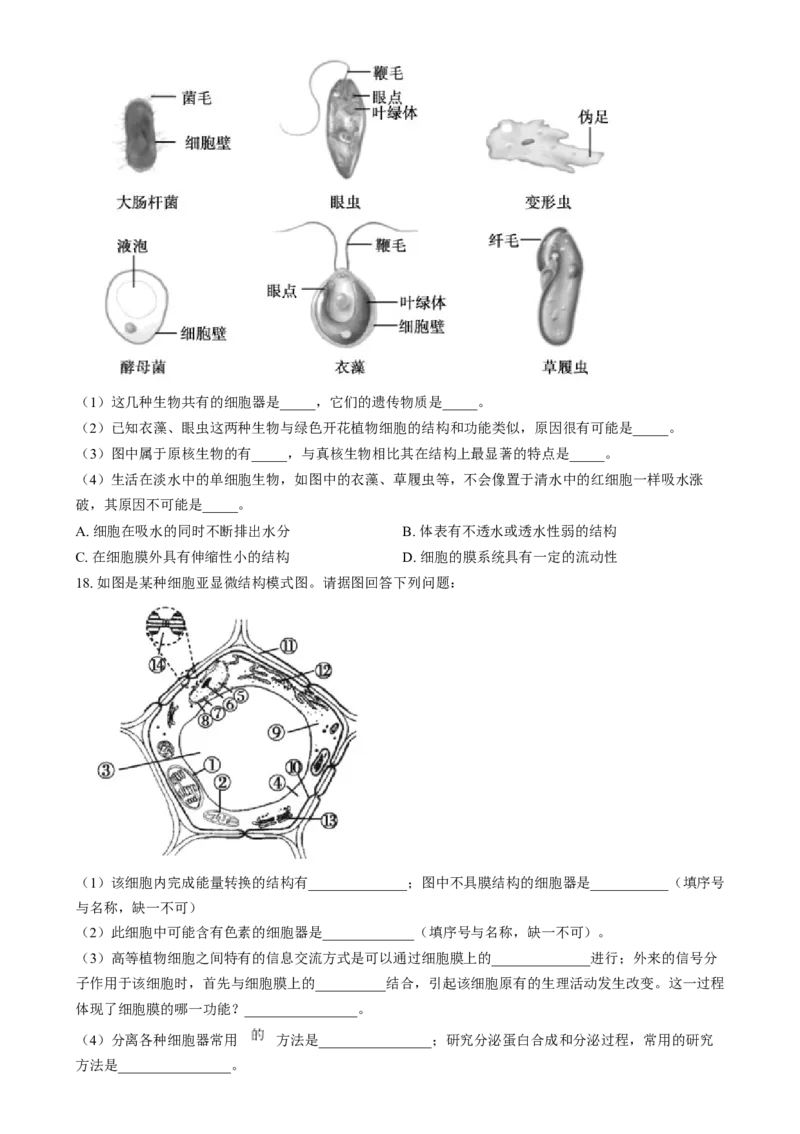 湖南省岳阳市岳阳县第一中学2024-2025学年高一上学期12月月考生物试题Word版无答案_2025年01月试卷_0104湖南省岳阳市岳阳县第一中学2024-2025学年高一上学期12月月考