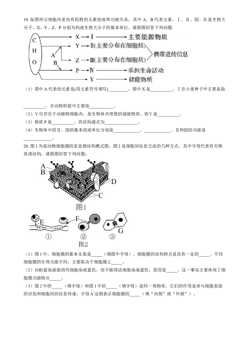 湖南省岳阳市岳阳县第一中学2024-2025学年高一上学期12月月考生物试题Word版无答案_2025年01月试卷_0104湖南省岳阳市岳阳县第一中学2024-2025学年高一上学期12月月考