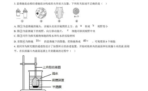 湖南省岳阳市岳阳县第一中学2024-2025学年高一上学期12月月考生物试题Word版无答案_2025年01月试卷_0104湖南省岳阳市岳阳县第一中学2024-2025学年高一上学期12月月考
