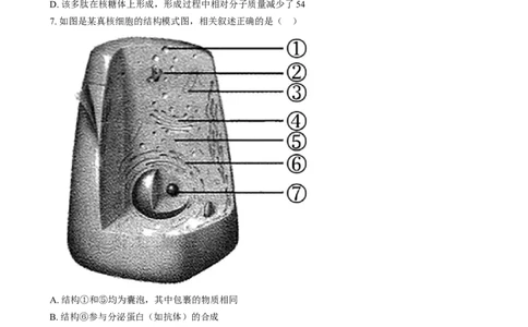 湖南省岳阳市岳阳县第一中学2024-2025学年高一上学期12月月考生物试题Word版无答案_2025年01月试卷_0104湖南省岳阳市岳阳县第一中学2024-2025学年高一上学期12月月考