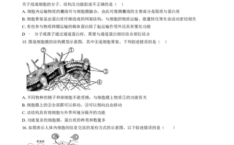湖南省岳阳市岳阳县第一中学2024-2025学年高一上学期12月月考生物试题Word版无答案_2025年01月试卷_0104湖南省岳阳市岳阳县第一中学2024-2025学年高一上学期12月月考