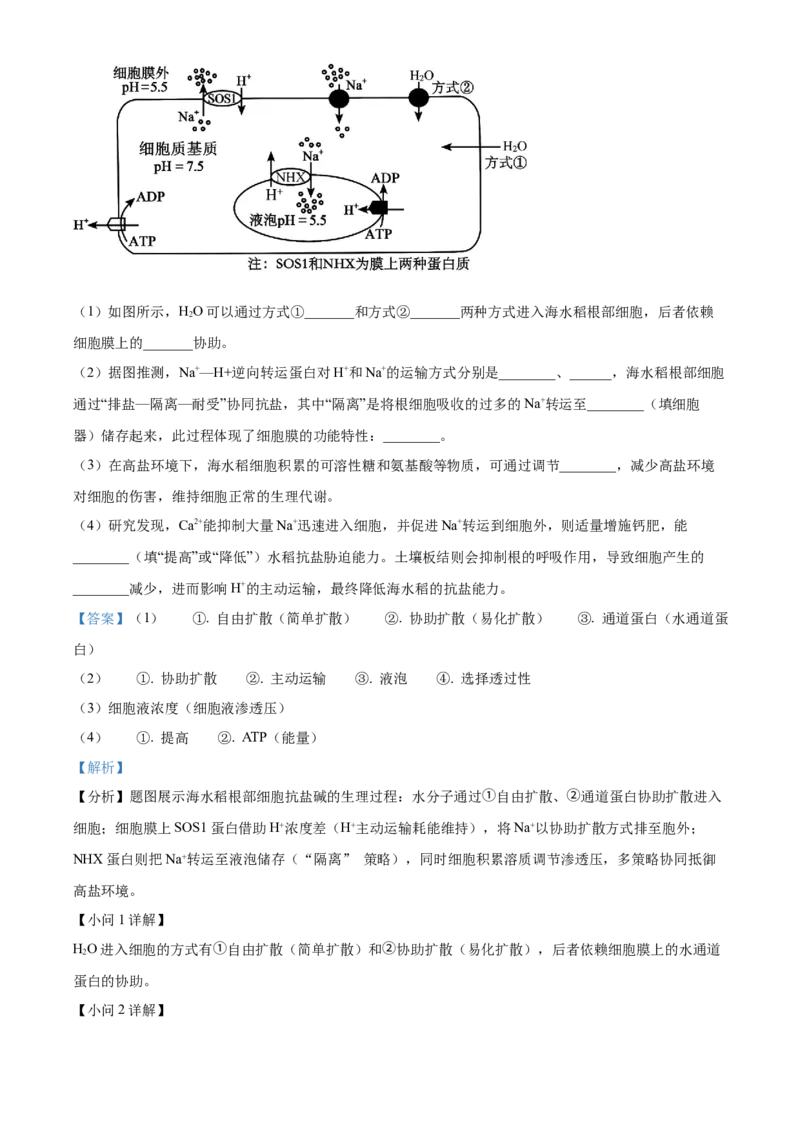 湖南省五市十校2025-2026学年高一上学期12月联考生物试题Word版含解析_2026年01月高一试卷_260101湖南省名校联盟暨五市十校联考2025-2026学年高一上学期12月联考