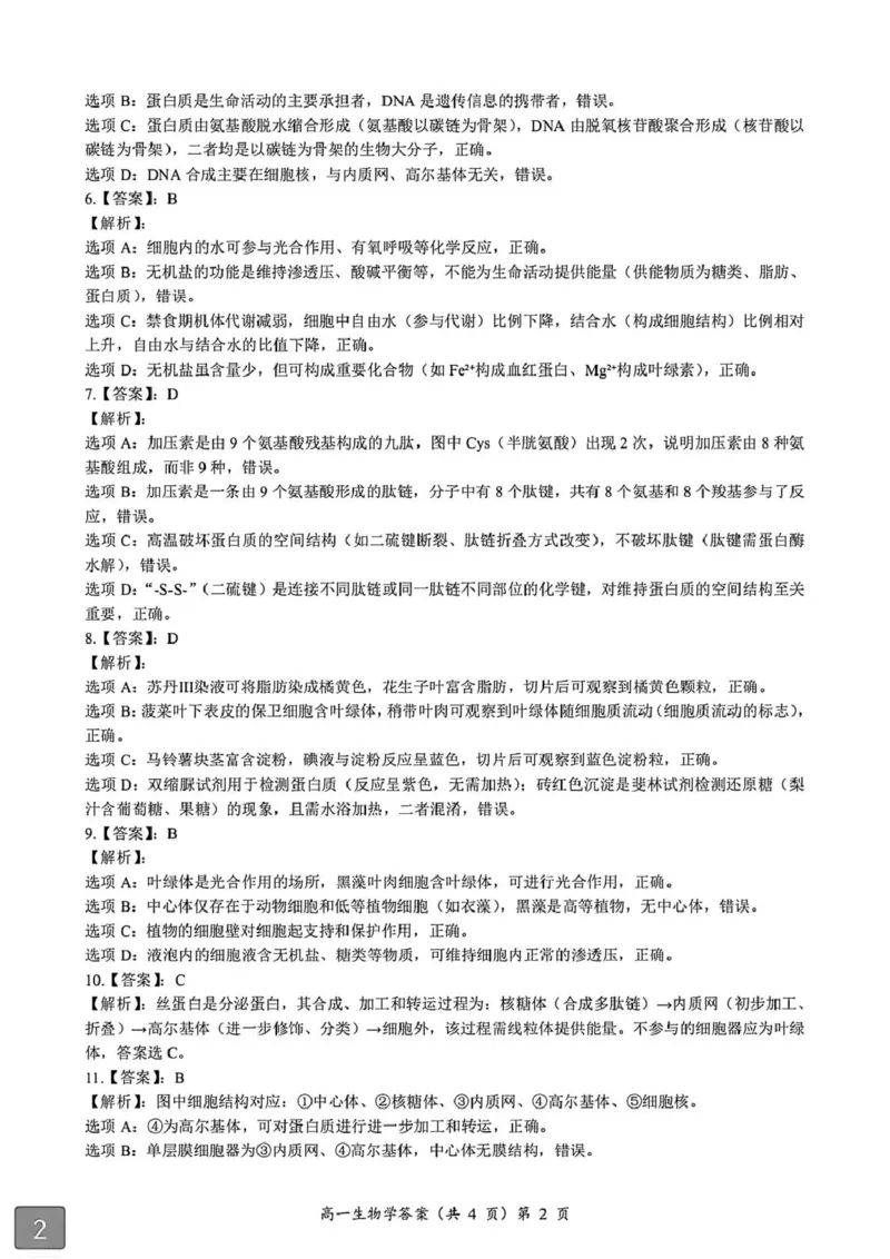 湖北省黄石市2025-2026学年高一上学期期中考试生物PDF版含解析_2025年12月高一试卷_251222湖北省黄石市2025-2026学年高一上学期期中考试（全）