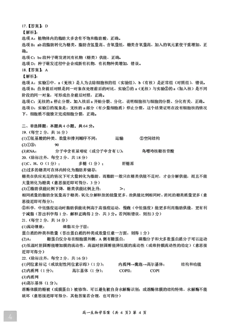 湖北省黄石市2025-2026学年高一上学期期中考试生物PDF版含解析_2025年12月高一试卷_251222湖北省黄石市2025-2026学年高一上学期期中考试（全）