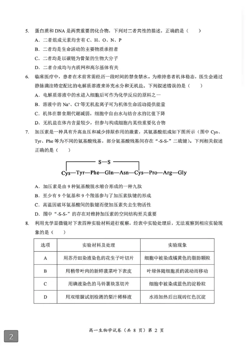 湖北省黄石市2025-2026学年高一上学期期中考试生物PDF版含解析_2025年12月高一试卷_251222湖北省黄石市2025-2026学年高一上学期期中考试（全）