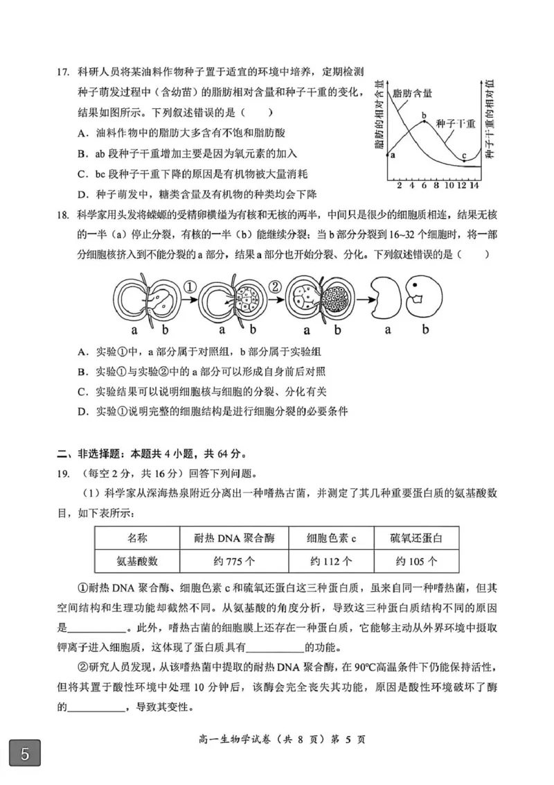 湖北省黄石市2025-2026学年高一上学期期中考试生物PDF版含解析_2025年12月高一试卷_251222湖北省黄石市2025-2026学年高一上学期期中考试（全）