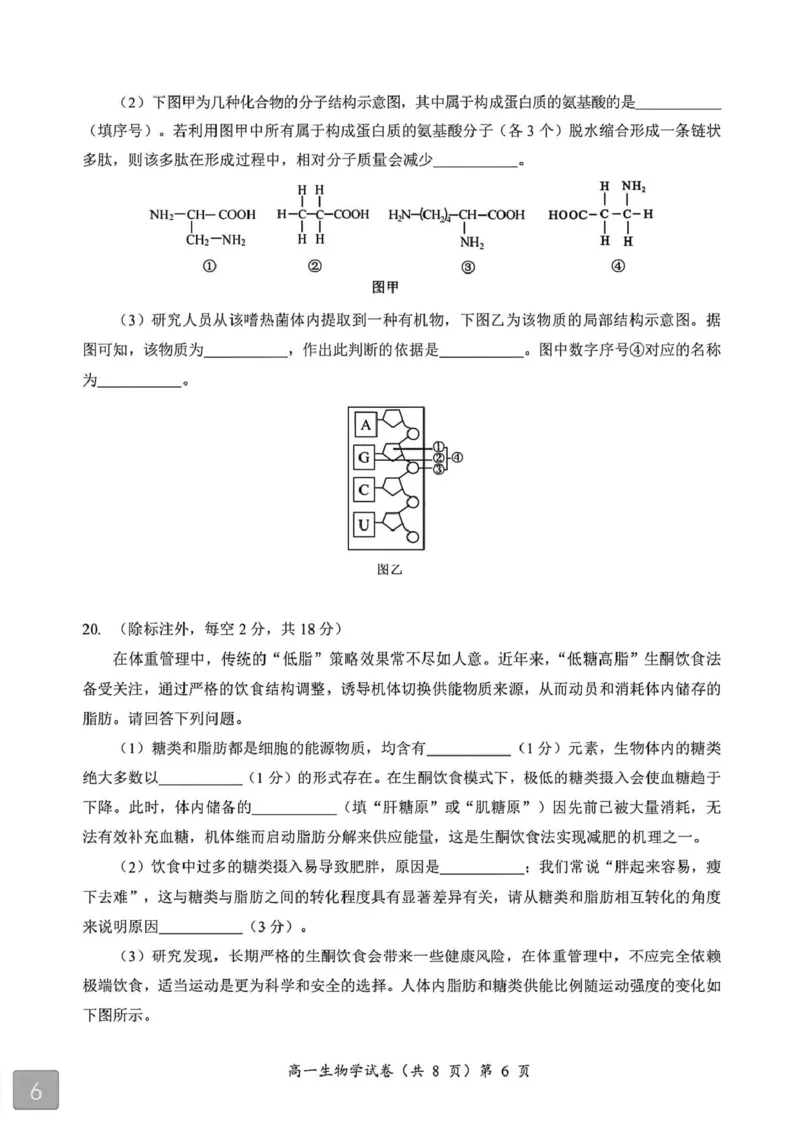 湖北省黄石市2025-2026学年高一上学期期中考试生物PDF版含解析_2025年12月高一试卷_251222湖北省黄石市2025-2026学年高一上学期期中考试（全）