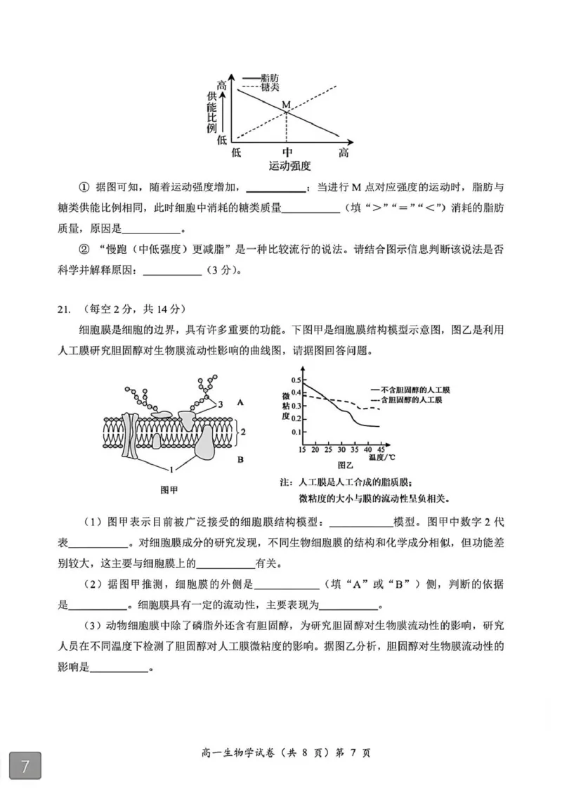 湖北省黄石市2025-2026学年高一上学期期中考试生物PDF版含解析_2025年12月高一试卷_251222湖北省黄石市2025-2026学年高一上学期期中考试（全）