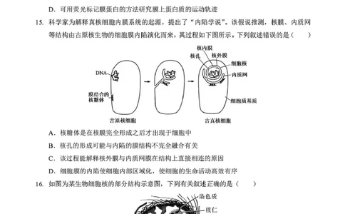 湖北省黄石市2025-2026学年高一上学期期中考试生物PDF版含解析_2025年12月高一试卷_251222湖北省黄石市2025-2026学年高一上学期期中考试（全）