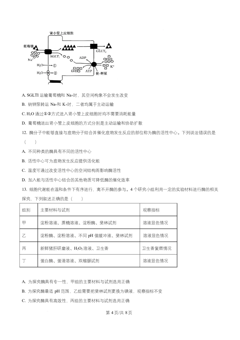 湖北省随州市随县一中、曾都一中实验班联考2025-2026学年高一上学期12月月考生物试题（原卷版）_2025年12月高一试卷