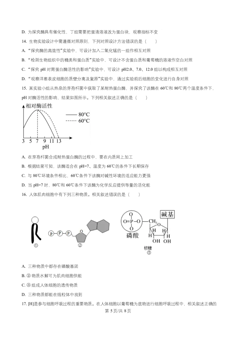 湖北省随州市随县一中、曾都一中实验班联考2025-2026学年高一上学期12月月考生物试题（原卷版）_2025年12月高一试卷