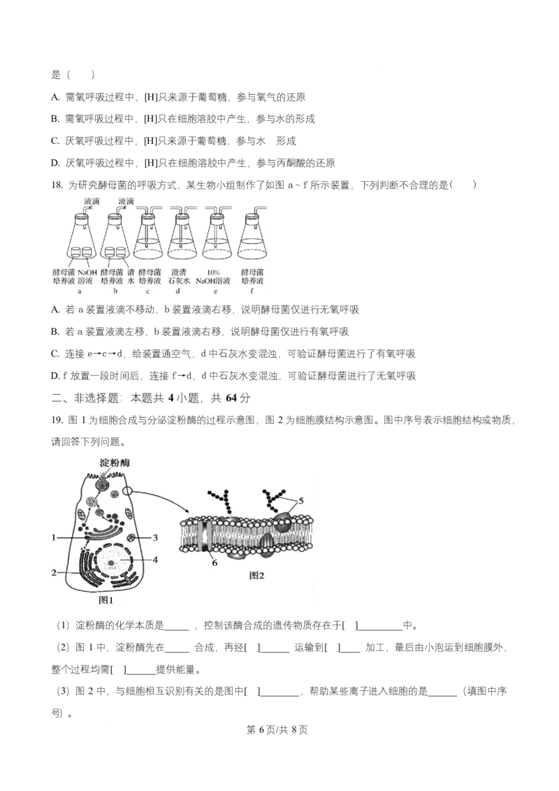 湖北省随州市随县一中、曾都一中实验班联考2025-2026学年高一上学期12月月考生物试题（原卷版）_2025年12月高一试卷