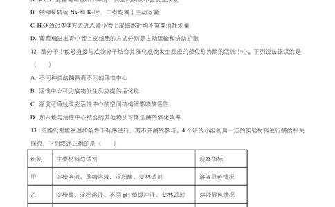 湖北省随州市随县一中、曾都一中实验班联考2025-2026学年高一上学期12月月考生物试题（原卷版）_2025年12月高一试卷