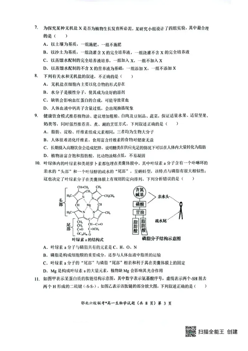 湖北鄂北六校2025-2026学年高一上学期11月期中联考生物试题含答案_2025年11月高一试卷_251110河湖北鄂北六校2025-2026学年高一上学期11月期中联考（全）