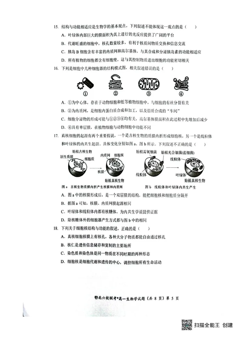 湖北鄂北六校2025-2026学年高一上学期11月期中联考生物试题含答案_2025年11月高一试卷_251110河湖北鄂北六校2025-2026学年高一上学期11月期中联考（全）
