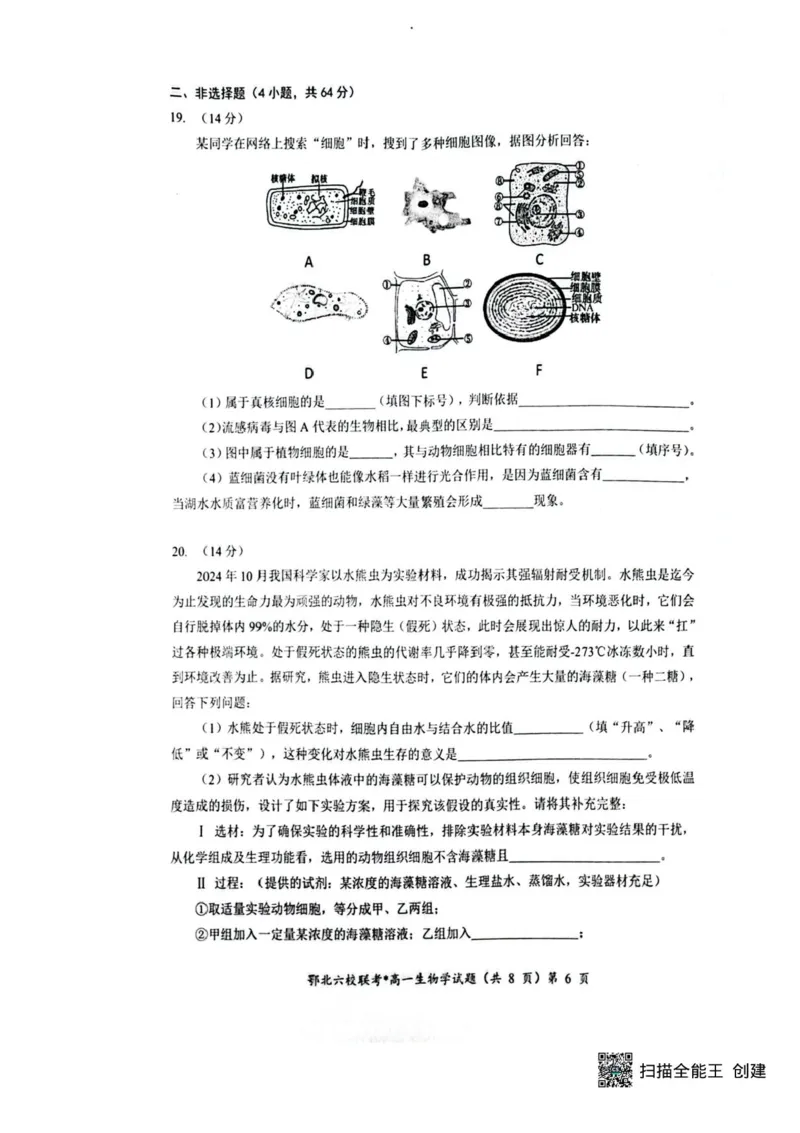 湖北鄂北六校2025-2026学年高一上学期11月期中联考生物试题含答案_2025年11月高一试卷_251110河湖北鄂北六校2025-2026学年高一上学期11月期中联考（全）
