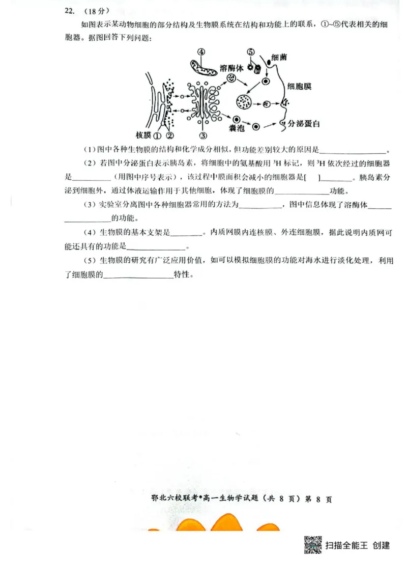 湖北鄂北六校2025-2026学年高一上学期11月期中联考生物试题含答案_2025年11月高一试卷_251110河湖北鄂北六校2025-2026学年高一上学期11月期中联考（全）