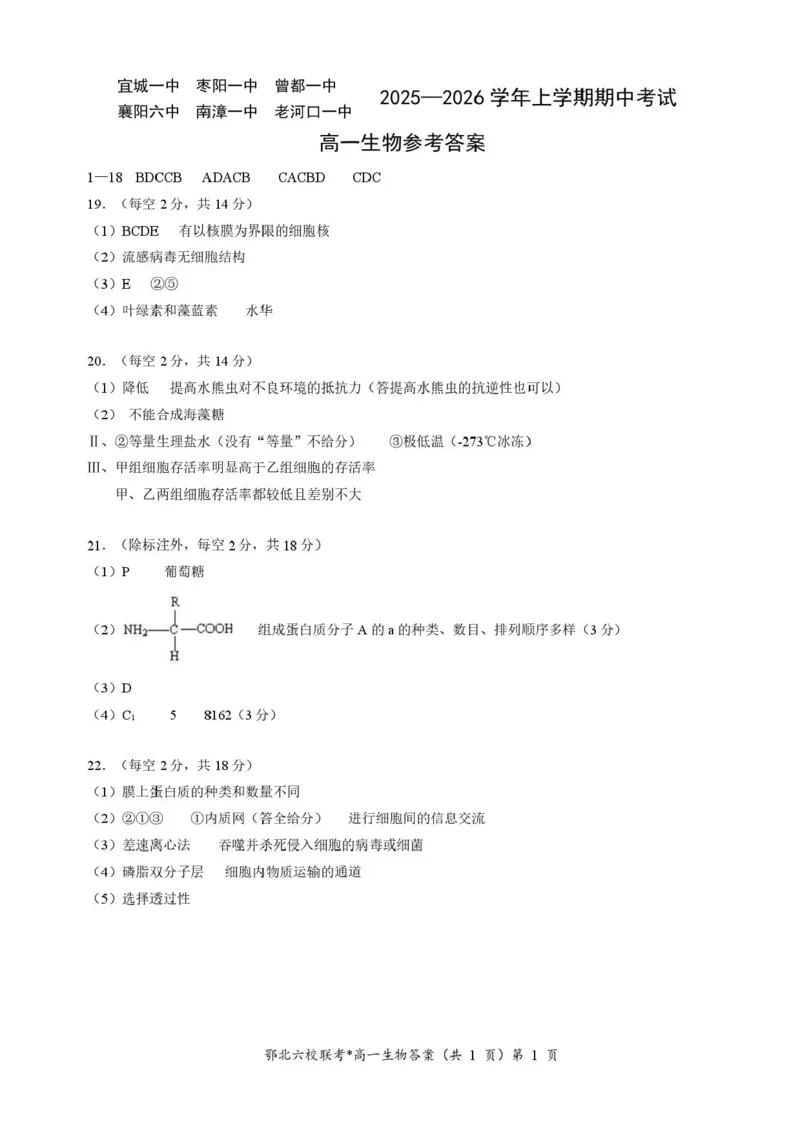 湖北鄂北六校2025-2026学年高一上学期11月期中联考生物试题含答案_2025年11月高一试卷_251110河湖北鄂北六校2025-2026学年高一上学期11月期中联考（全）