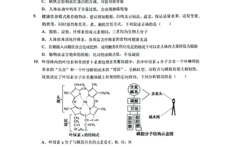 湖北鄂北六校2025-2026学年高一上学期11月期中联考生物试题含答案_2025年11月高一试卷_251110河湖北鄂北六校2025-2026学年高一上学期11月期中联考（全）