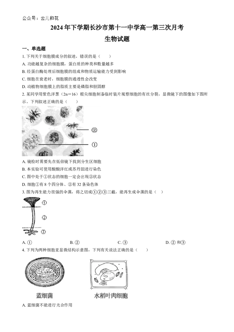湖南省长沙市第十一中学2024-2025学年高一上学期12月月考生物试题（原卷版）_2025年01月试卷_0103湖南省长沙市第十一中学2024-2025学年高一上学期12月考试