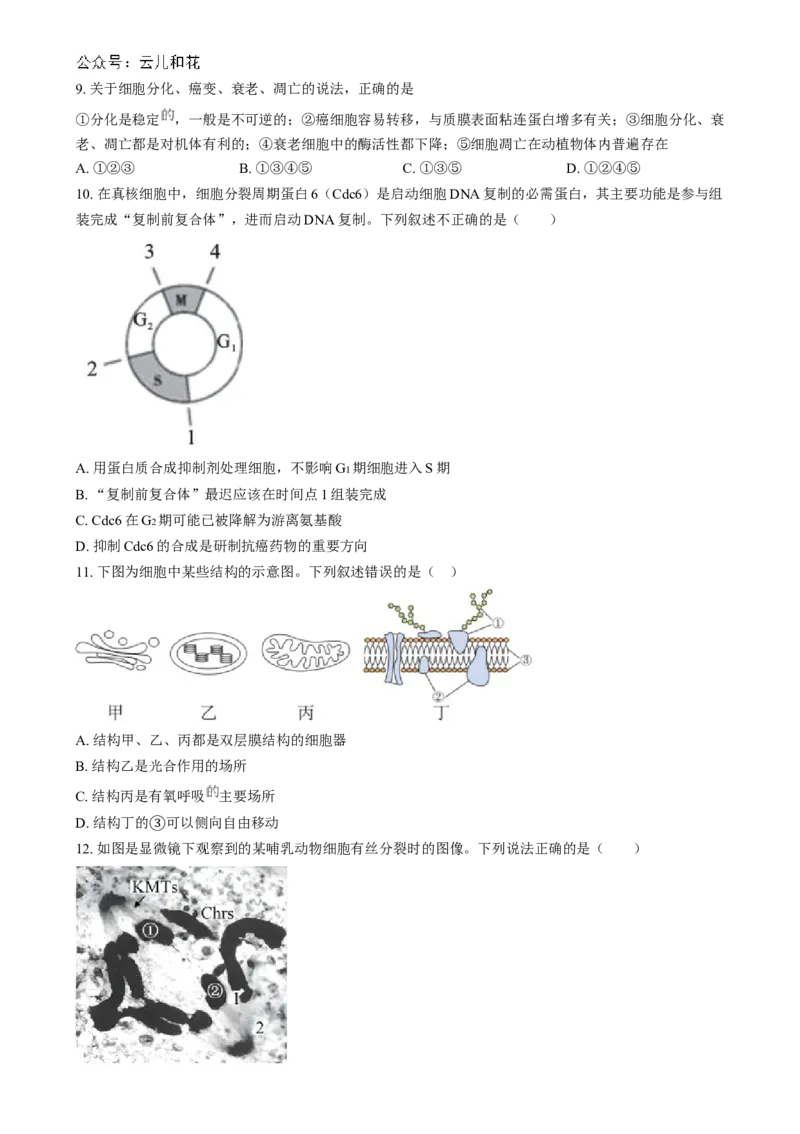湖南省长沙市第十一中学2024-2025学年高一上学期12月月考生物试题（原卷版）_2025年01月试卷_0103湖南省长沙市第十一中学2024-2025学年高一上学期12月考试