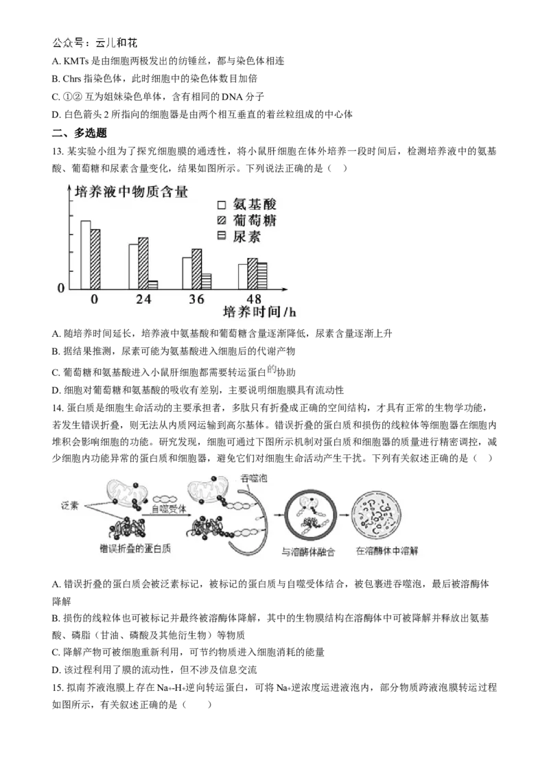 湖南省长沙市第十一中学2024-2025学年高一上学期12月月考生物试题（原卷版）_2025年01月试卷_0103湖南省长沙市第十一中学2024-2025学年高一上学期12月考试
