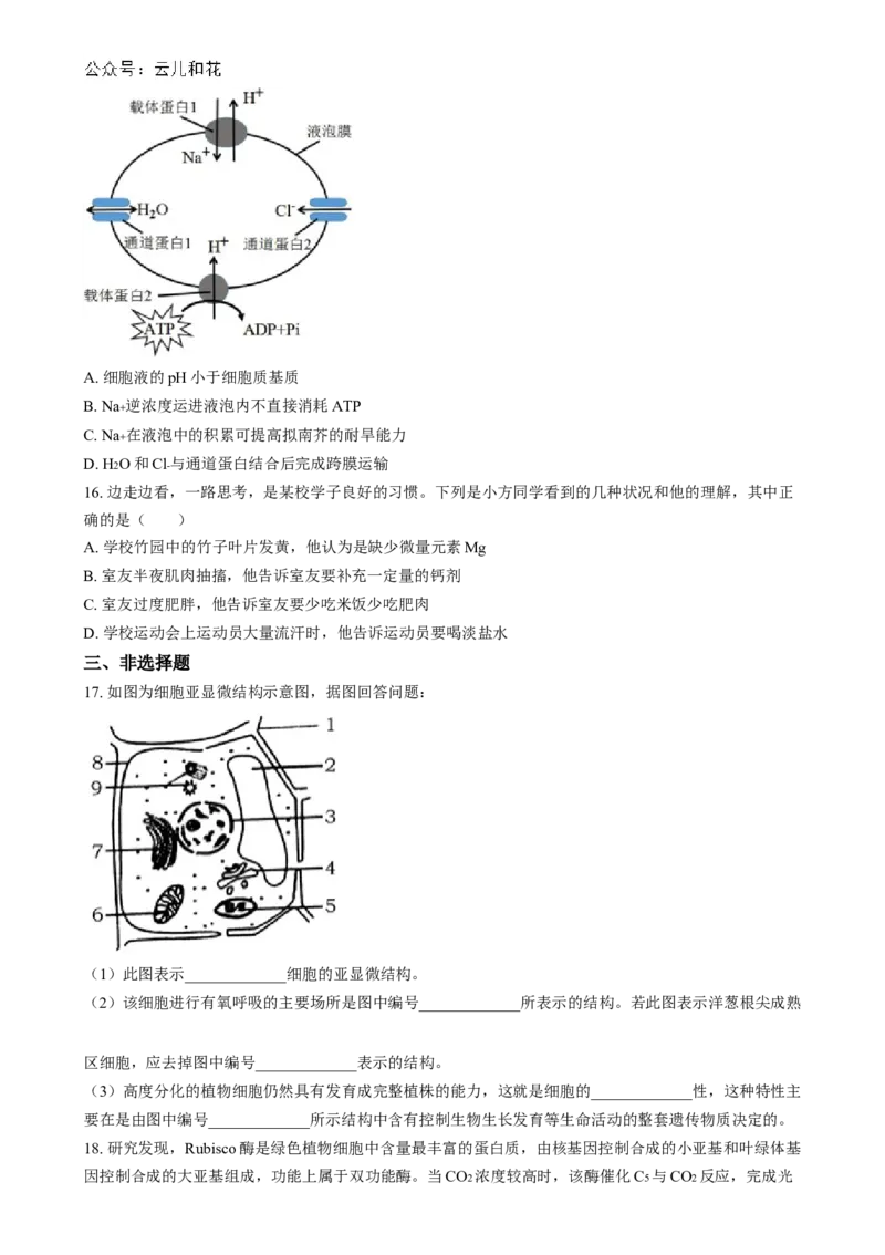 湖南省长沙市第十一中学2024-2025学年高一上学期12月月考生物试题（原卷版）_2025年01月试卷_0103湖南省长沙市第十一中学2024-2025学年高一上学期12月考试
