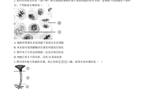 湖南省长沙市第十一中学2024-2025学年高一上学期12月月考生物试题（原卷版）_2025年01月试卷_0103湖南省长沙市第十一中学2024-2025学年高一上学期12月考试