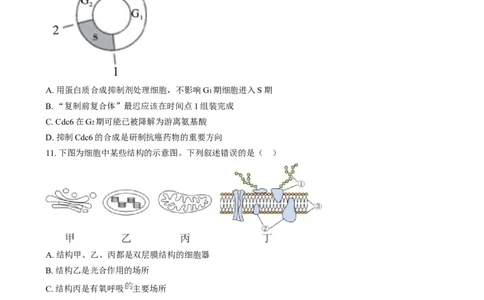 湖南省长沙市第十一中学2024-2025学年高一上学期12月月考生物试题（原卷版）_2025年01月试卷_0103湖南省长沙市第十一中学2024-2025学年高一上学期12月考试