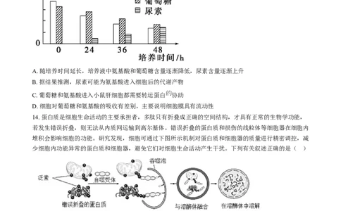 湖南省长沙市第十一中学2024-2025学年高一上学期12月月考生物试题（原卷版）_2025年01月试卷_0103湖南省长沙市第十一中学2024-2025学年高一上学期12月考试