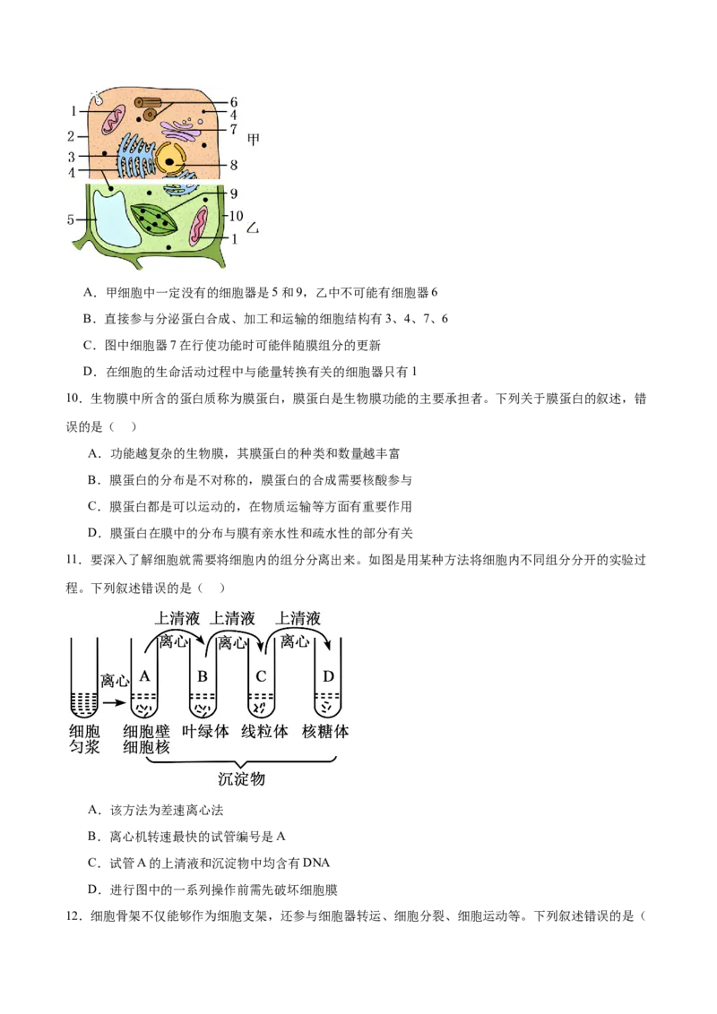甘肃省多校2025-2026学年高一上学期第一次月考试题生物Word版含答案_2025年11月高一试卷_251106甘肃省多校2025-2026学年高一上学期第一次月考试题（全）