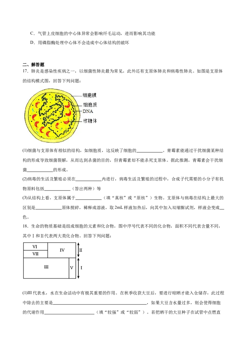 甘肃省多校2025-2026学年高一上学期第一次月考试题生物Word版含答案_2025年11月高一试卷_251106甘肃省多校2025-2026学年高一上学期第一次月考试题（全）