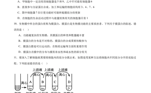 甘肃省多校2025-2026学年高一上学期第一次月考试题生物Word版含答案_2025年11月高一试卷_251106甘肃省多校2025-2026学年高一上学期第一次月考试题（全）