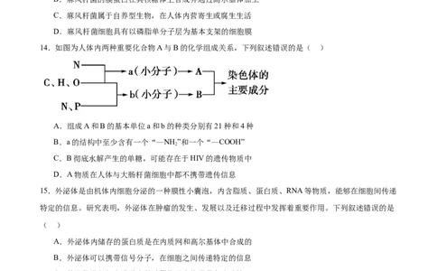 甘肃省多校2025-2026学年高一上学期第一次月考试题生物Word版含答案_2025年11月高一试卷_251106甘肃省多校2025-2026学年高一上学期第一次月考试题（全）