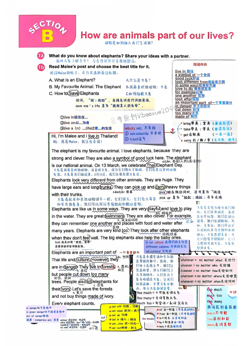 人教七下配套课堂笔记_最新人教版英语七年级下册_七下英语2025版_课堂笔记