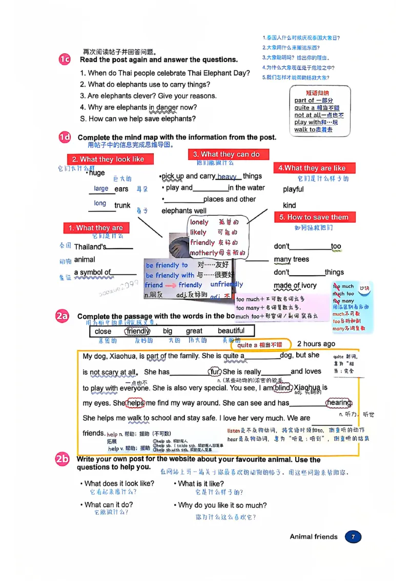 人教七下配套课堂笔记_最新人教版英语七年级下册_七下英语2025版_课堂笔记