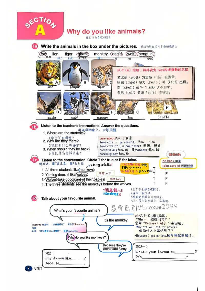 人教七下配套课堂笔记_最新人教版英语七年级下册_七下英语2025版_课堂笔记