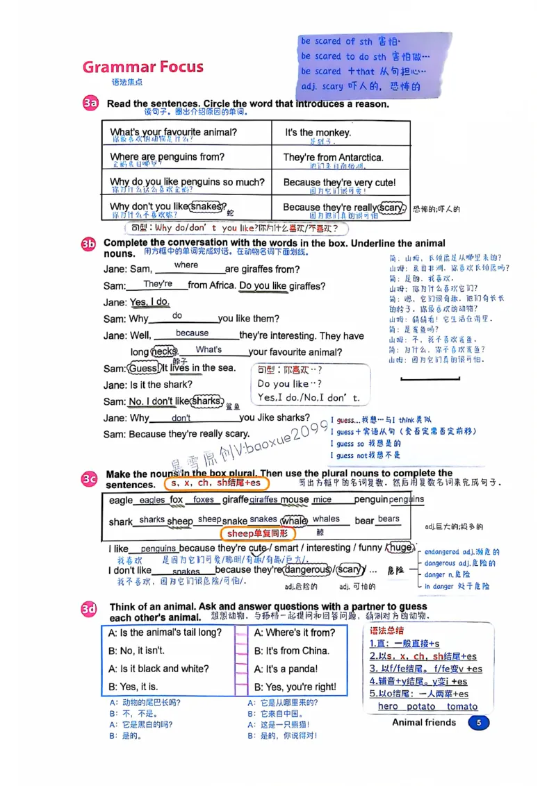 人教七下配套课堂笔记_最新人教版英语七年级下册_七下英语2025版_课堂笔记