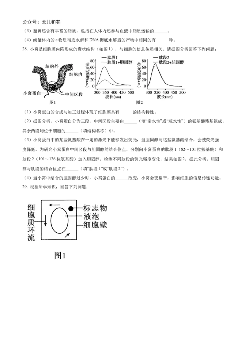 湖南省长沙市天心区长沙市长郡中学2024-2025学年高一上学期11月期中考试生物试题Word版无答案_2024年11月试卷_1108湖南省长沙市长郡中学2024-2025学年高一上学期期中考试