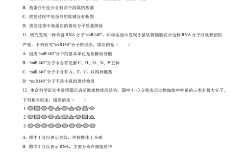 湖南省长沙市天心区长沙市长郡中学2024-2025学年高一上学期11月期中考试生物试题Word版无答案_2024年11月试卷_1108湖南省长沙市长郡中学2024-2025学年高一上学期期中考试