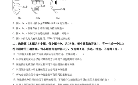 湖南省长沙市天心区长沙市长郡中学2024-2025学年高一上学期11月期中考试生物试题Word版无答案_2024年11月试卷_1108湖南省长沙市长郡中学2024-2025学年高一上学期期中考试